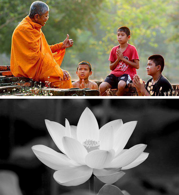 Gởi bài viết
