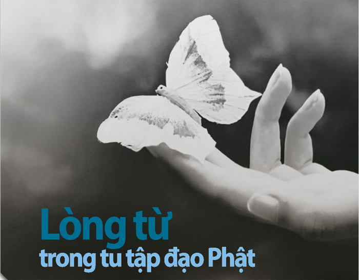 Lòng từ trong tu tập đạo Phật